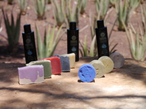 Biologisch angebaute Aloe Vera Innenblattgel-Produkte in einem Composing.