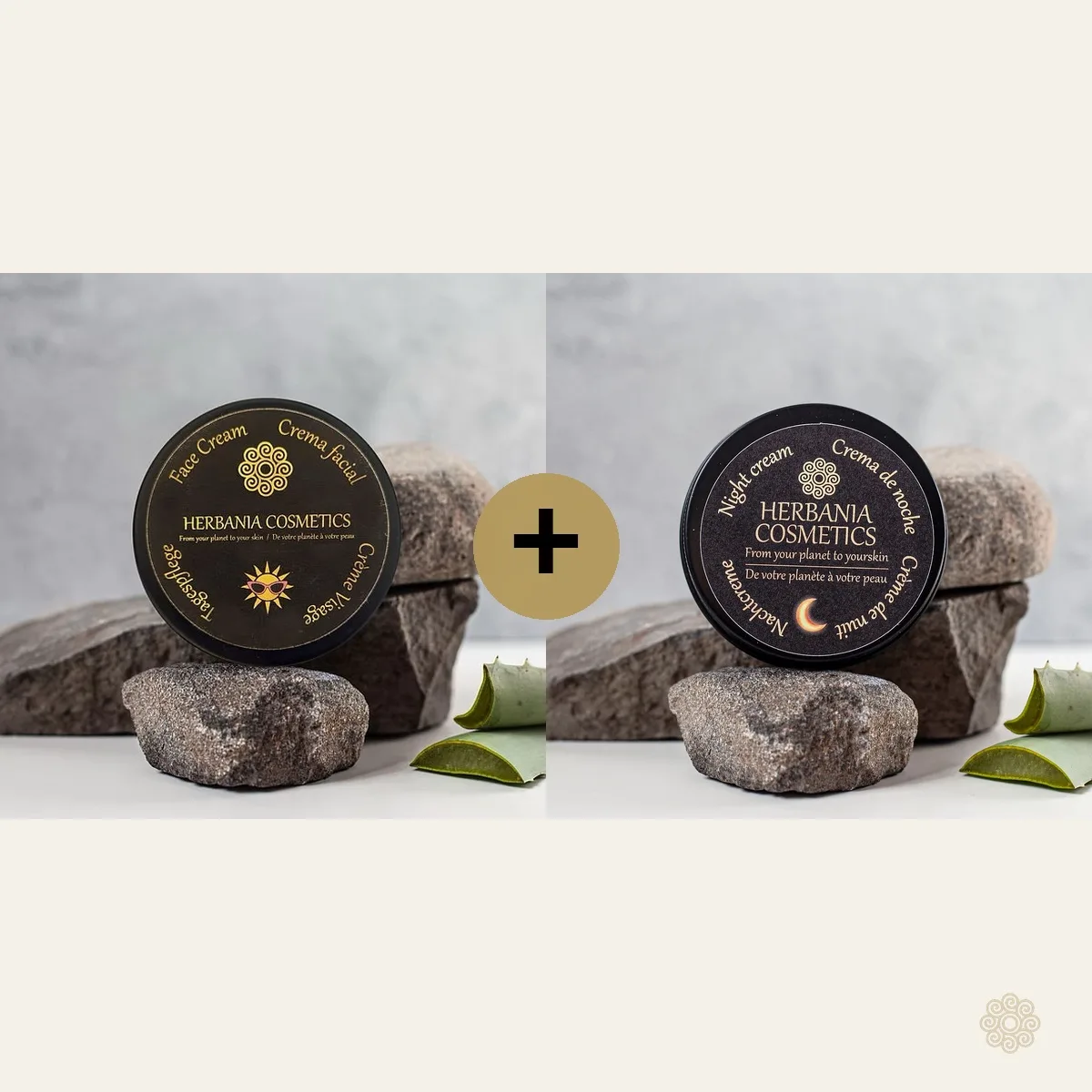 Gepflegtes Set – Gesichtscreme und Nachtcreme von Herbania Cosmetics